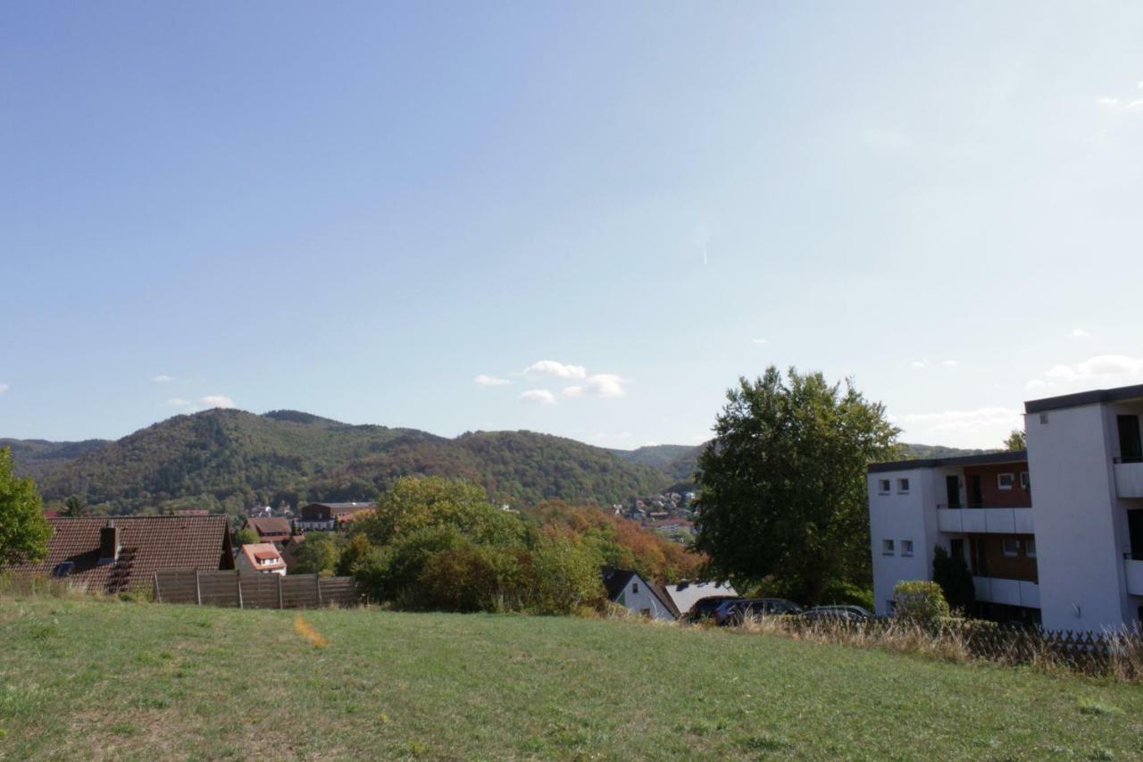 Ferienwohnung "Hagebutze" Mit Sauna Und Schwimmbad Bad Lauterberg Exterior foto