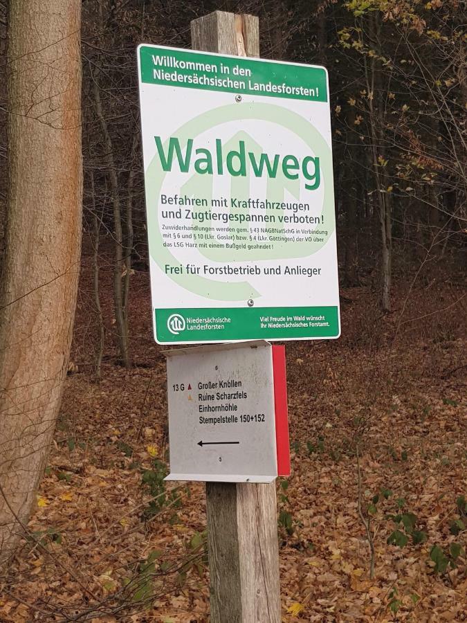 Ferienwohnung "Hagebutze" Mit Sauna Und Schwimmbad Bad Lauterberg Exterior foto